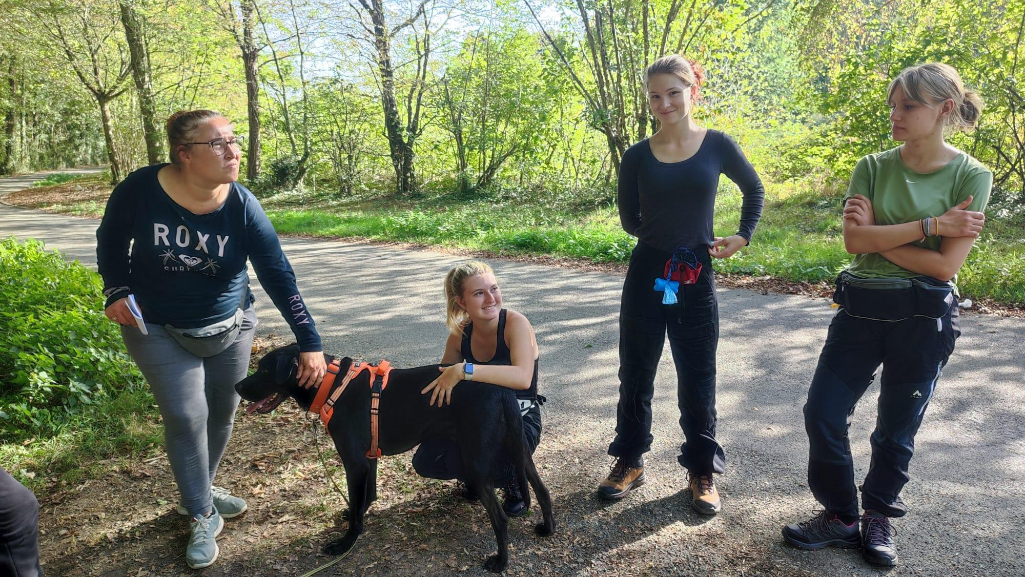 éducateur comportementaliste canin