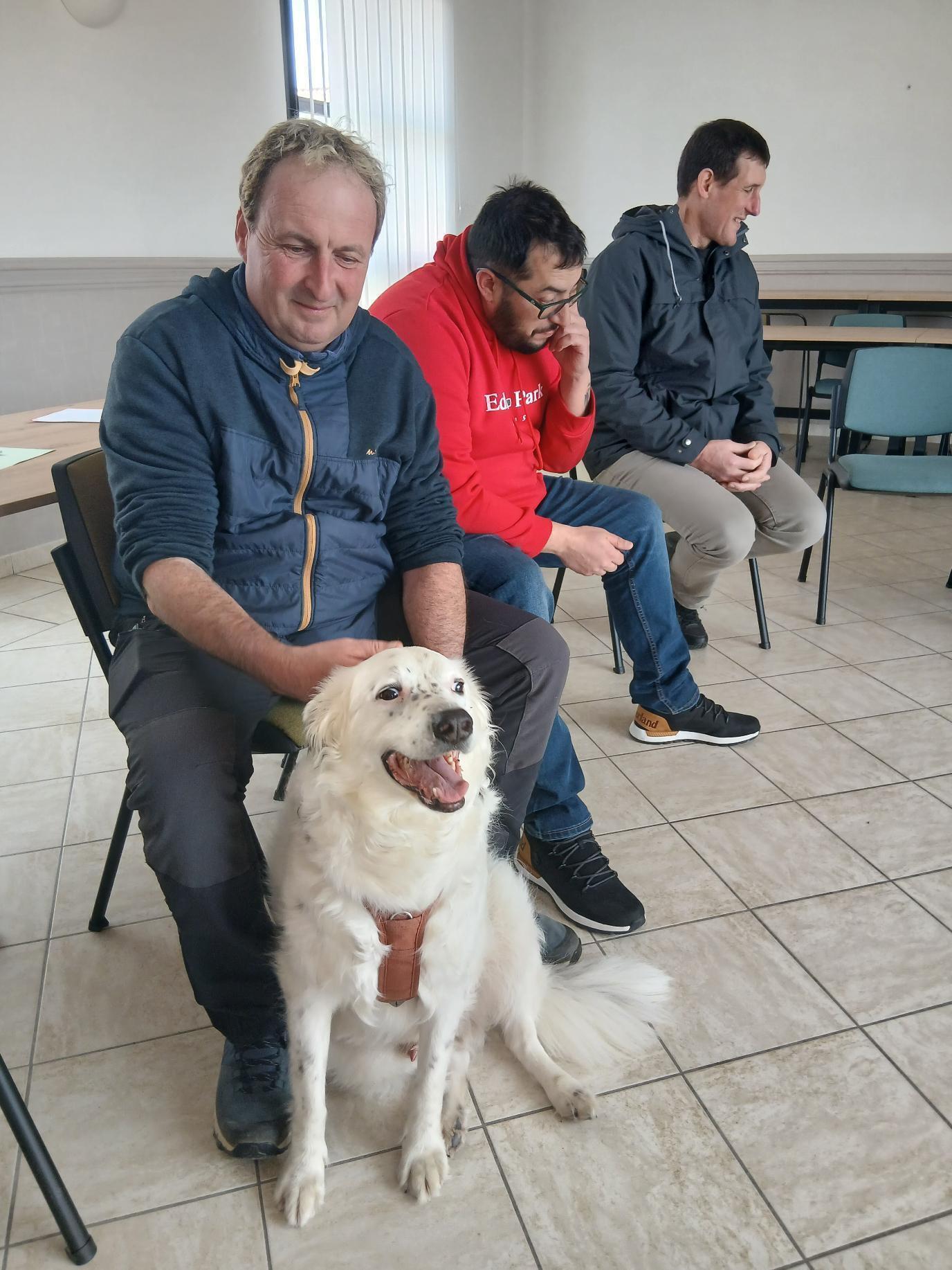 formation appréhension des chiens