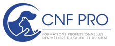 Logo CNF PRO