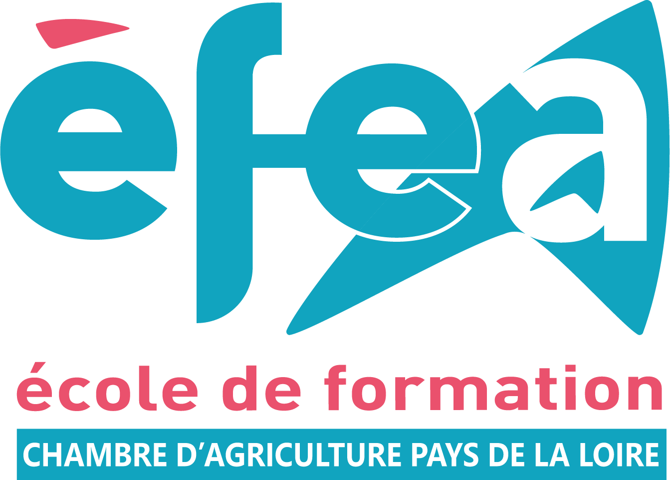 Logo Efea_Courte_Verticale_cmjn